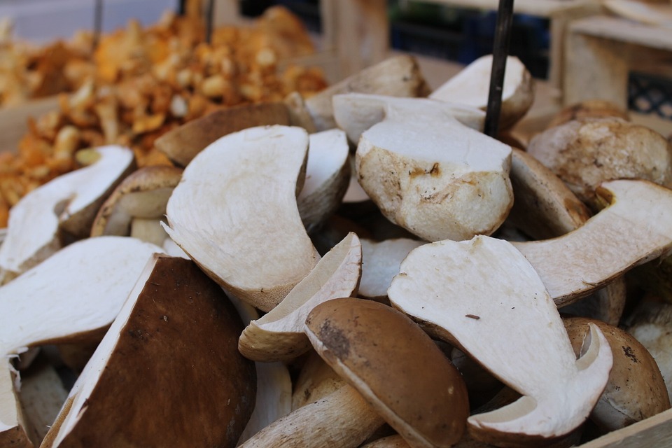 Adventlicher Bastel- und Naschmarkt in Amstetten: Gemeinsam Gutes tun!