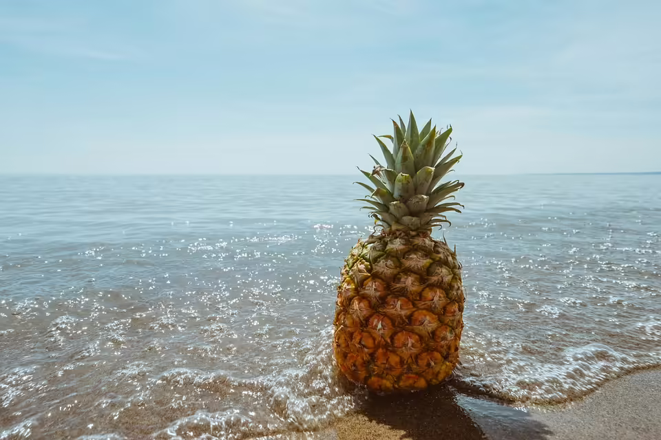 Ananas Verlag: Clemens Ettenauer druckt aus Leidenschaft und Freude