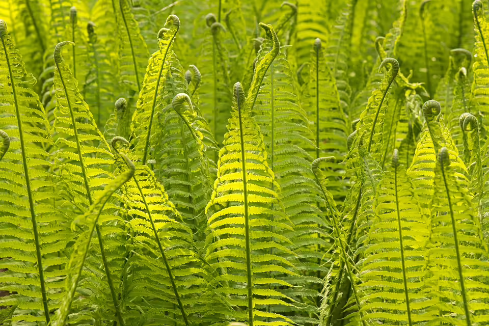 Arnreit: Doppelmörder Roland D. Tot im Wald Entdeckt – Polizei Ermittelt