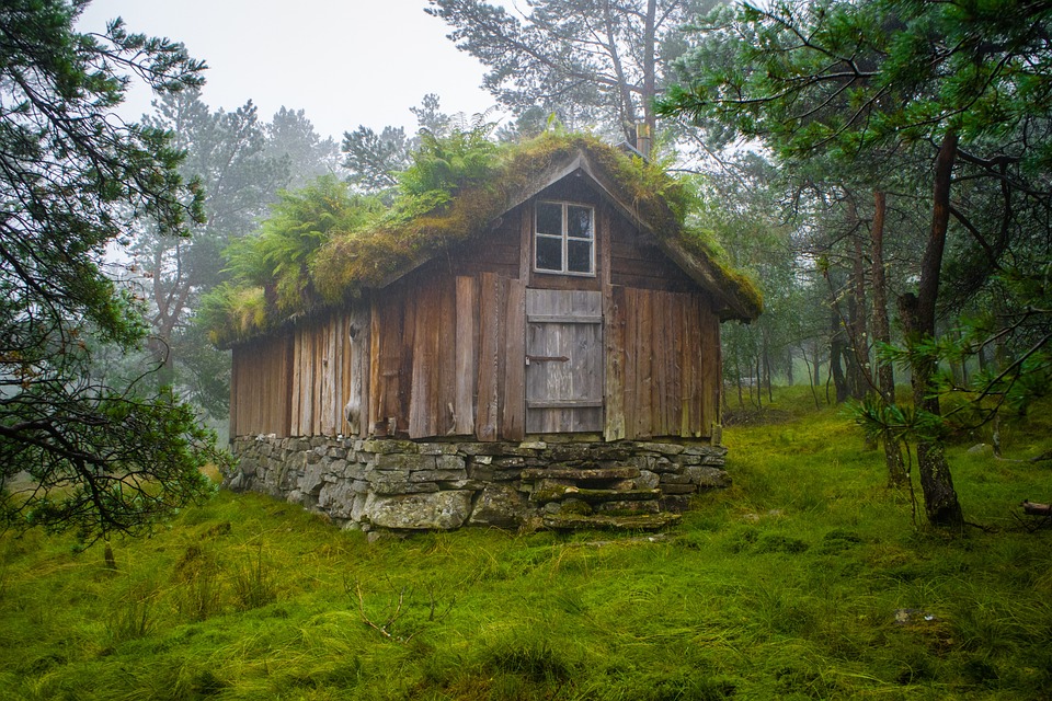 Bauherr:innenpreis 2024: Holzhaus in Weiden am See glänzt mit Schilfdach