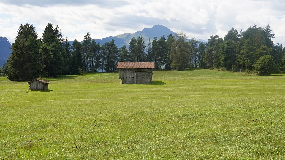Berglandwirtschaft im Fokus: Neue Einkommensquellen für die Region