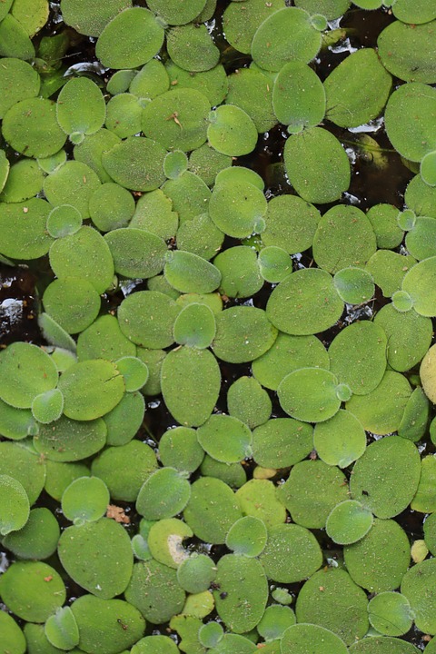 Brigittenau im Fokus: Wünsche und Eindrücke der Bewohner entdecken