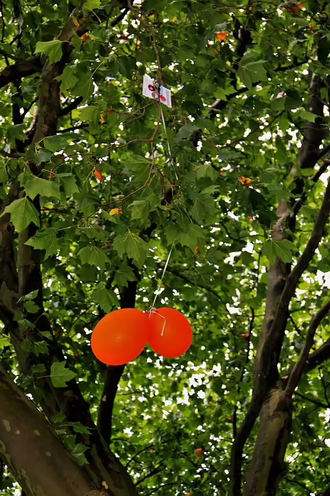 Erfolgreiche Luftballon-Wettbewerbe und kreative Veranstaltungen in Scheyern