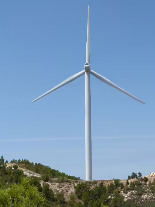 Erneuerbare Energiegenossenschaft Lilienfeld: Eine Zukunft für alle!