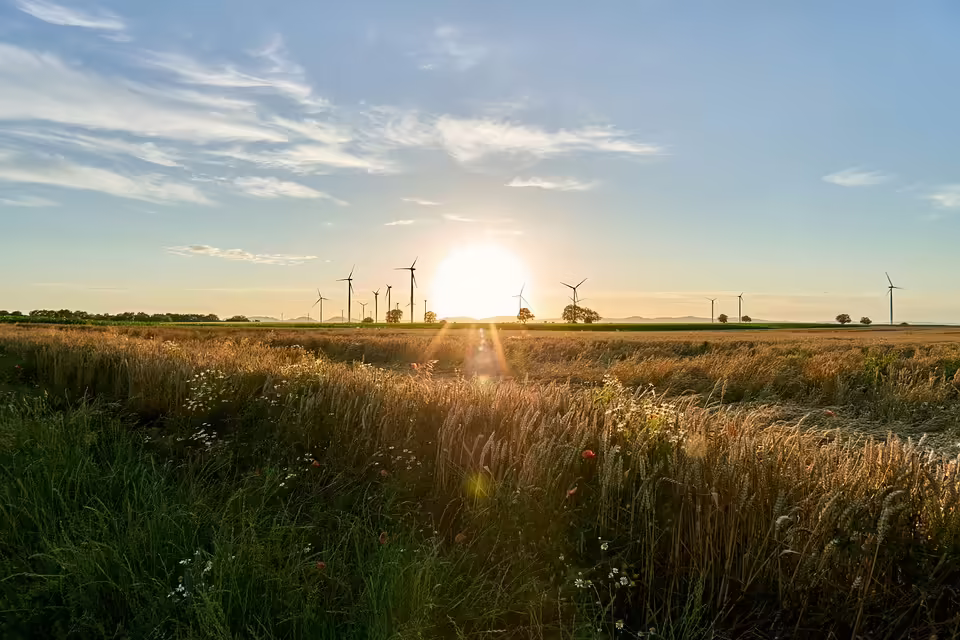 Erneuerbare Energien teilen: Infoabend zur EEG Amstetten-Ost in St. Georgen