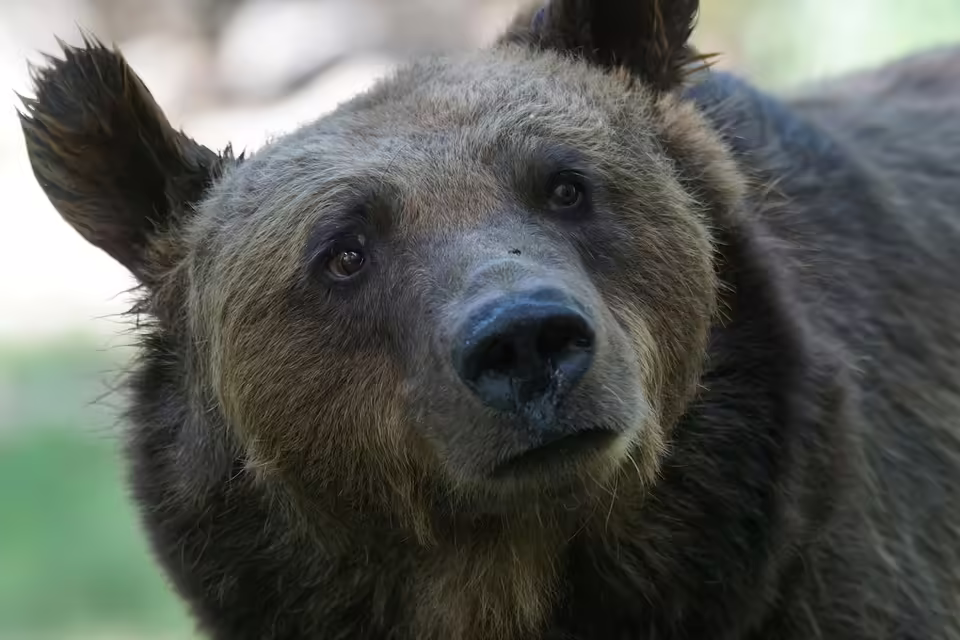 Fahndung nach gefährlichem Jäger: Wo ist Roland D. aus Rohrbach?