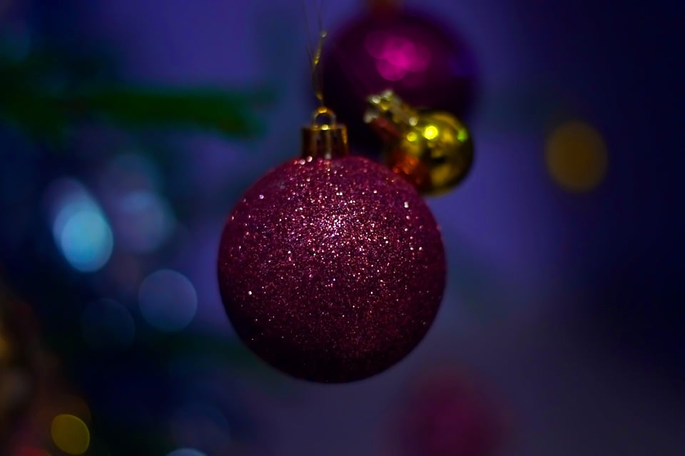 Festliche Grüne: Christbaumverkäufe im Salzkammergut starten bald