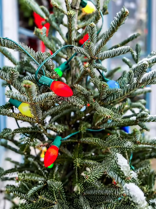 Festliche Höhepunkte: Adventzauber im Bezirk Bruck an der Leitha 2024