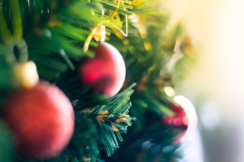 Festliche Stimmung: Weihnachtsausstellung bei Gärtnerei Grinschgl eröffnet!
