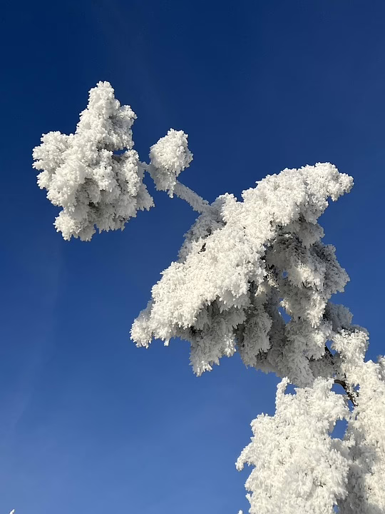 Frohnleiten erstrahlt: Lichterpark und Winterwelt eröffnen festlich