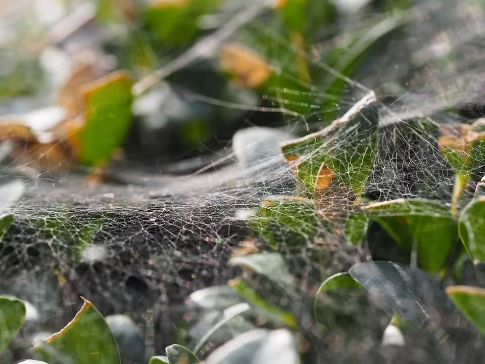 Grauenhafte Details zu den Todesopfern der spanischen Flutkatastrophe