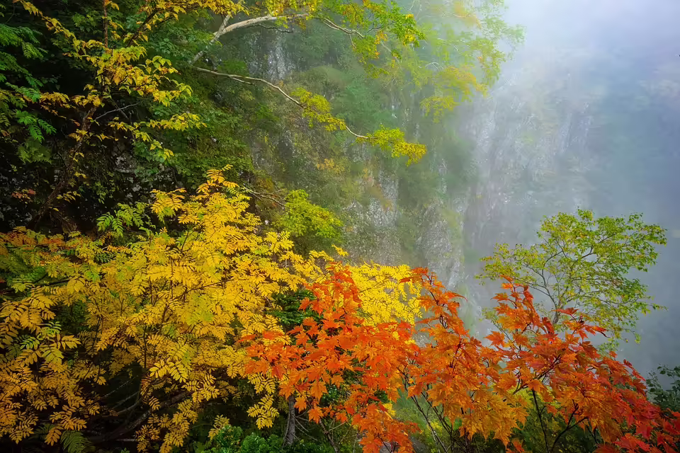 Herbstliche Wanderung der Naturfreunde Enns im malerischen Mühlviertel