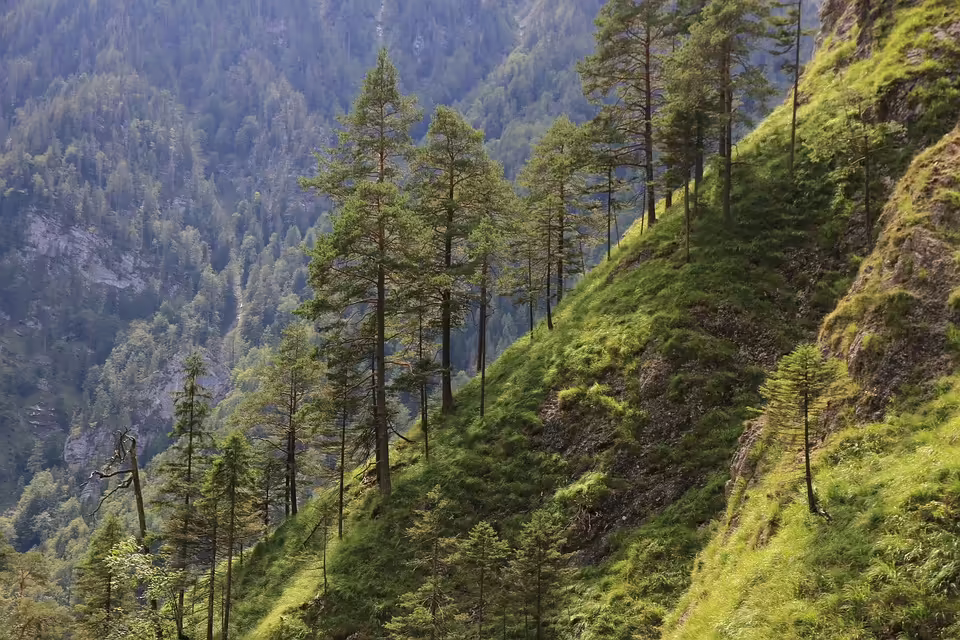 Hochwälder Fechtnachwuchs glänzt bei Saarlandmeisterschaften U11