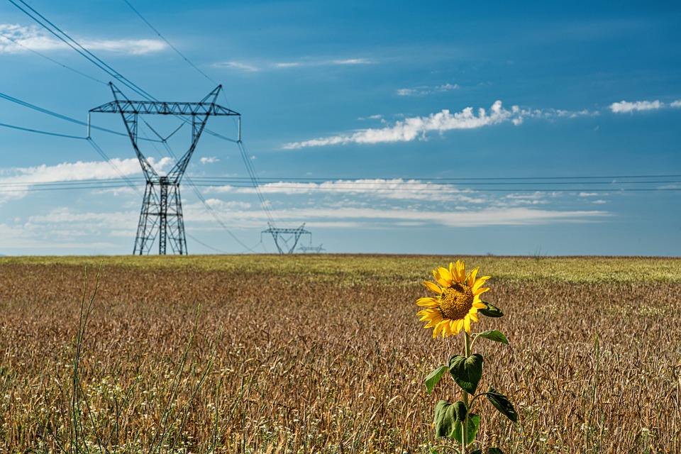 Klimafreundlicher Wohnverbund Eferding: Auszeichnung für nachhaltige Inklusion