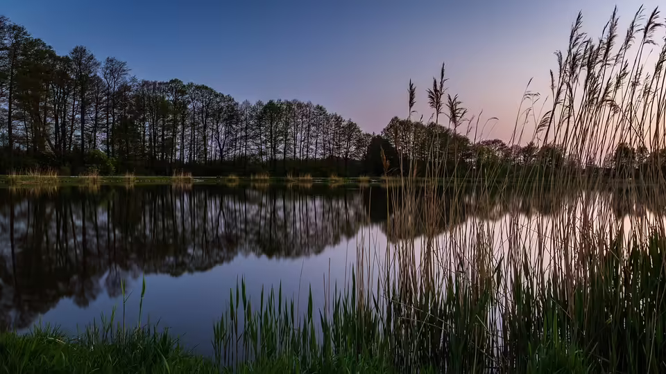 Klimawandelanpassung in Gabersdorf und Schwarzautal: Gemeinsam für die Zukunft!