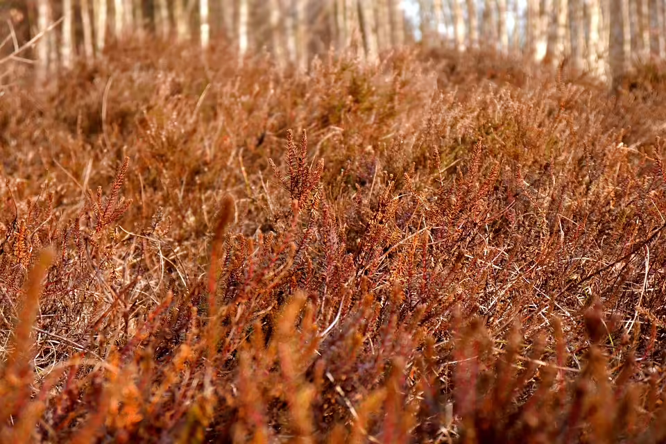 Landjugend St. Marein: Blutspende und Scheckübergabe für das Rote Kreuz
