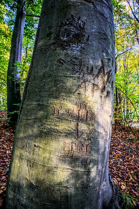 Laubaktion in Obritz: Dorferneuerungsverein startet Initiative für Naturschutz