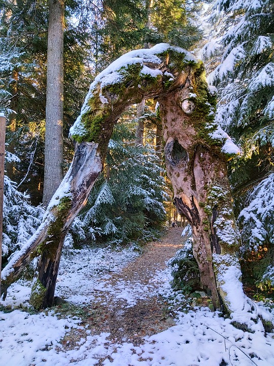 Märchenhafte Familienunterhaltung: Schneeweißchen und Rosenrot in Tulln