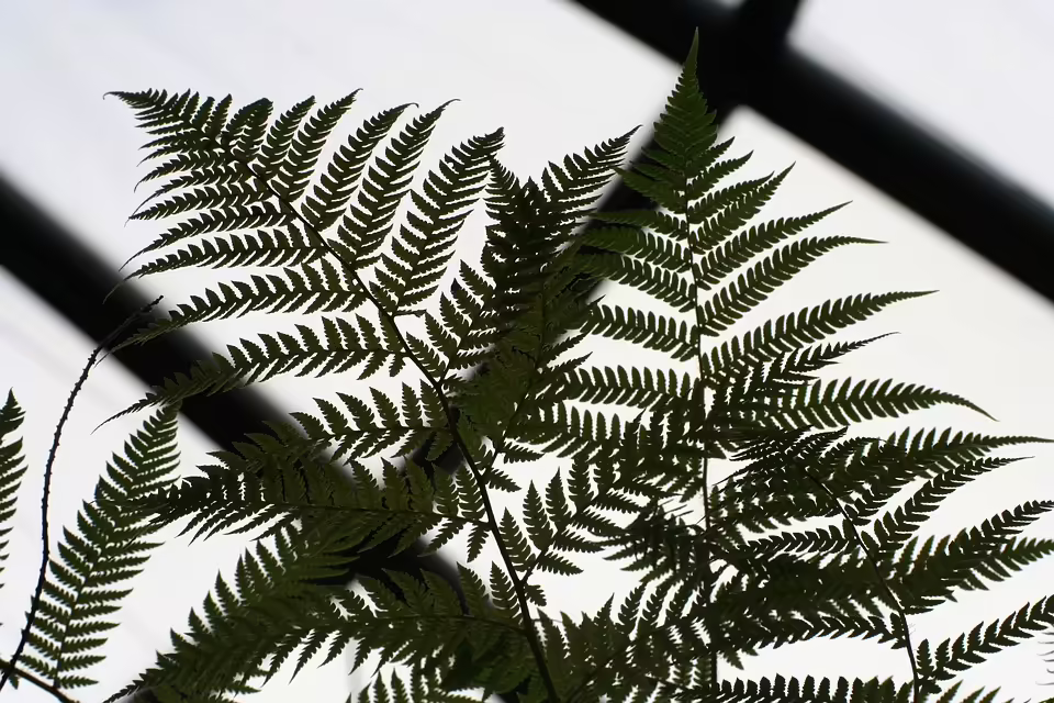 Magische Perspektiven: Fotorunde mit der Glaskugel im Bezirk