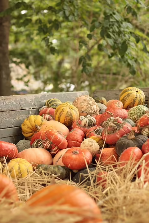 Musikalischer Herbst in Salzburg: Kirchenkonzerte laden ein!