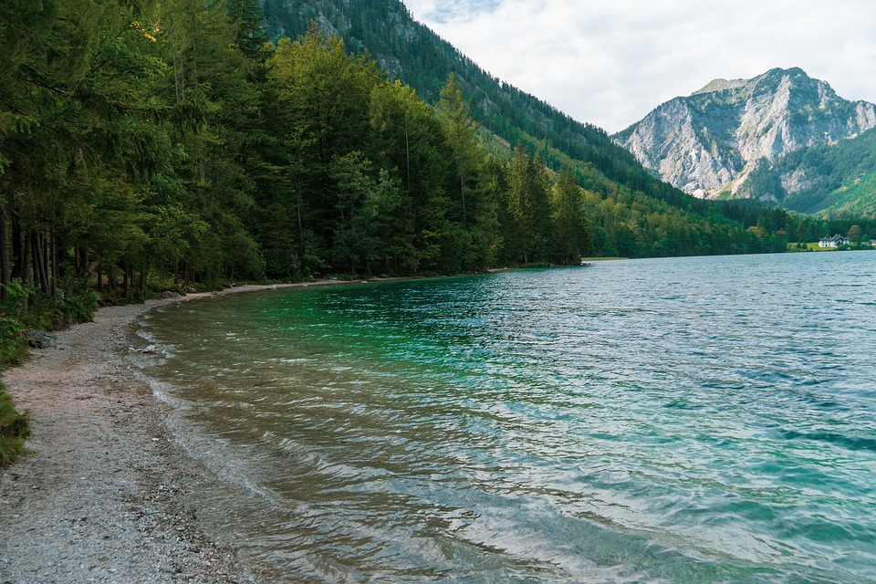 Nachwuchsläuferinnen der Traunsee Panthers überzeugen bei Meisterschaft