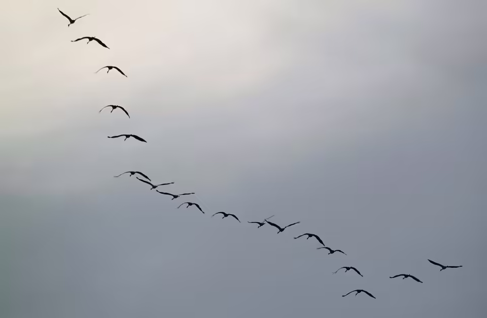 Naturerlebnis pur: Führung im Wurzacher Ried am 9. November
