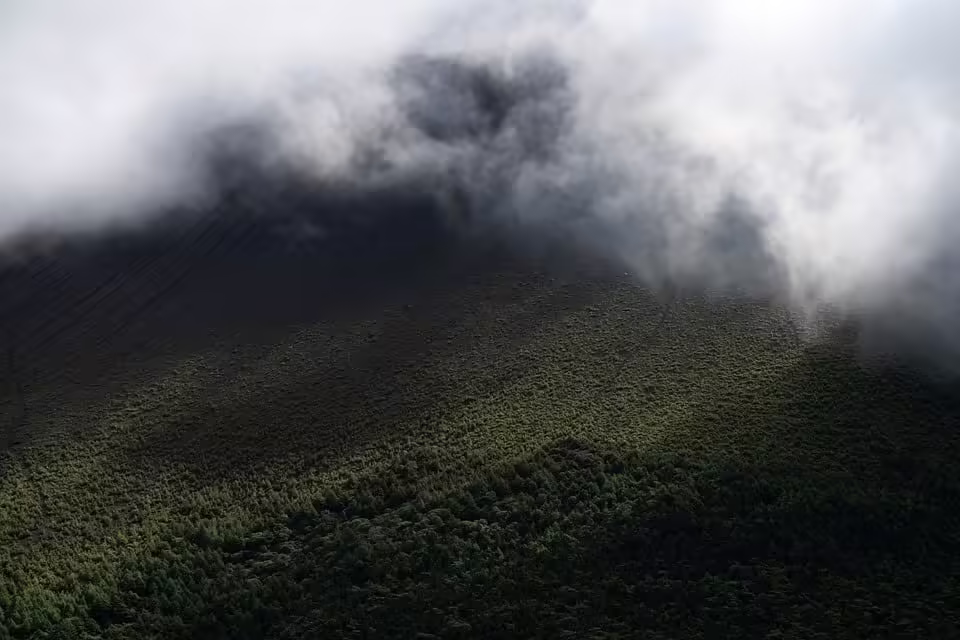 Nebel dominiert Wiens Wetter bis zum Mittag: Ein Blick auf die Prognose