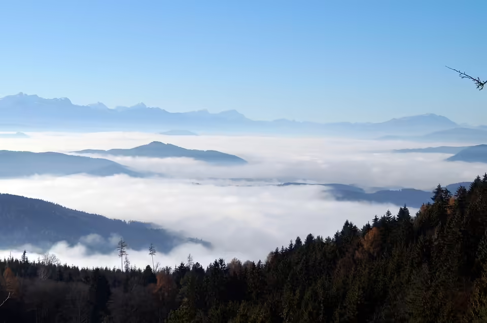 Nebel und Sonne: Wettervorhersage für Niederösterreich am 6. November