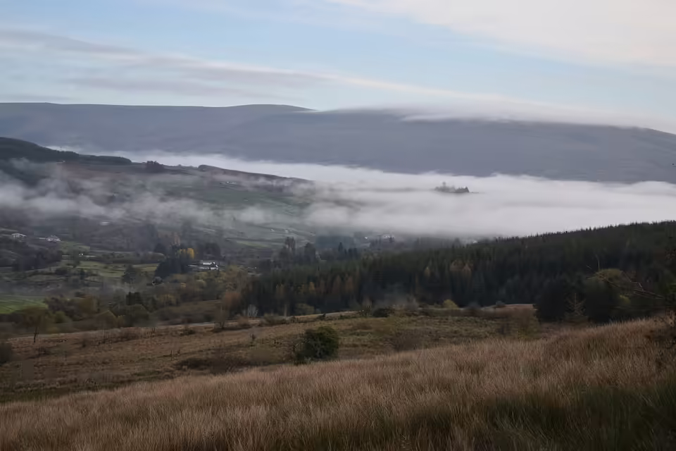 Nebel zum Wochenstart: Sonne bringt Hoffnung für NÖ am Montag