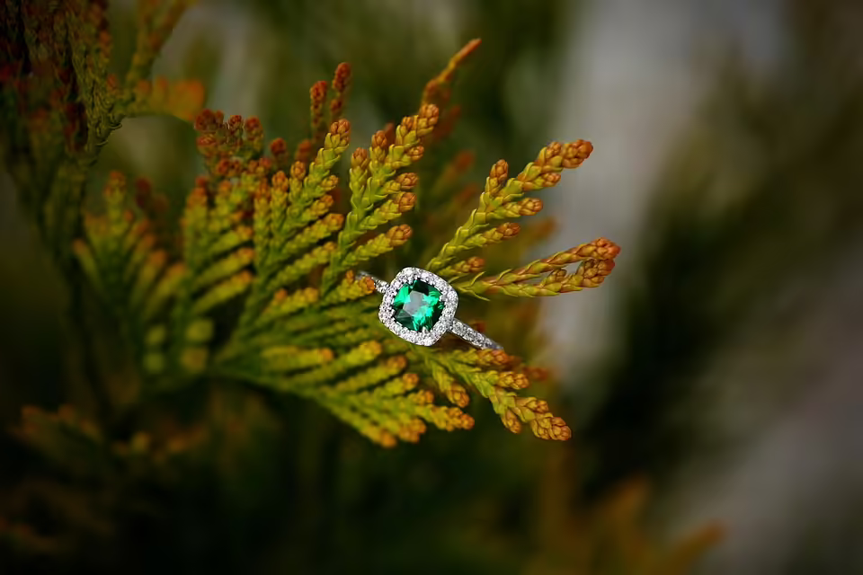 Neue Außenstelle des Zivilschutzes: Engagement in Schwarzau gestärkt