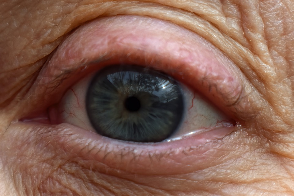 Neuer Bezirkshauptmann Watschinger: Visionen für Urfahr-Umgebung