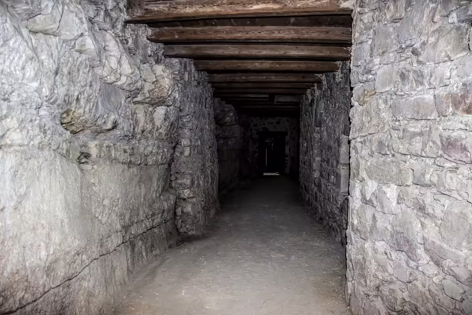 Neuer Pächter für Schlosskeller Mailberg gesucht – Große Herausforderung