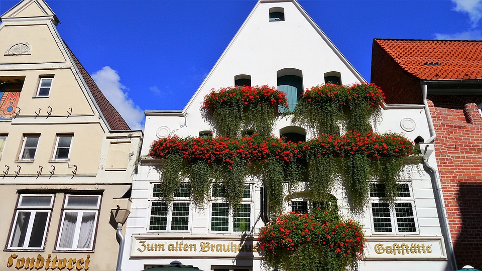 Neues Gasthaus  Du a do  in Freistadt: Einladende Eröffnung trotz Baustress