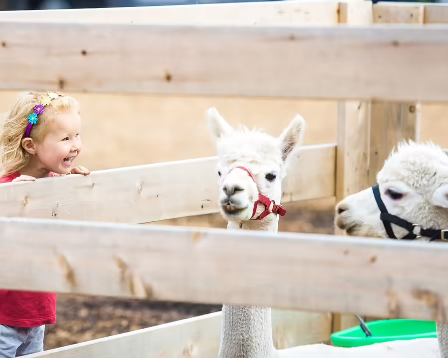 Petting feiert: Ein Jubiläum voller Überraschungen und Gemeinschaft