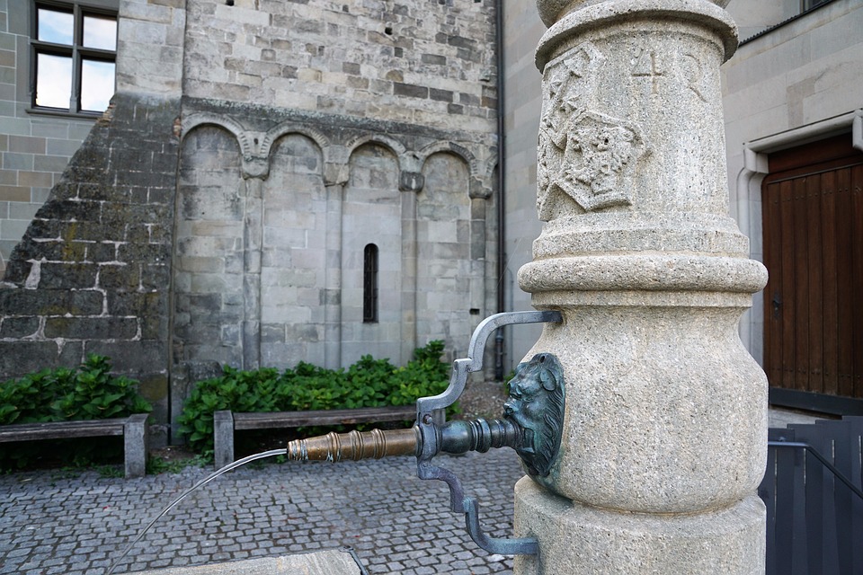 Reform Wels präsentiert Muli T15 V auf Agrama 2024 in Bern