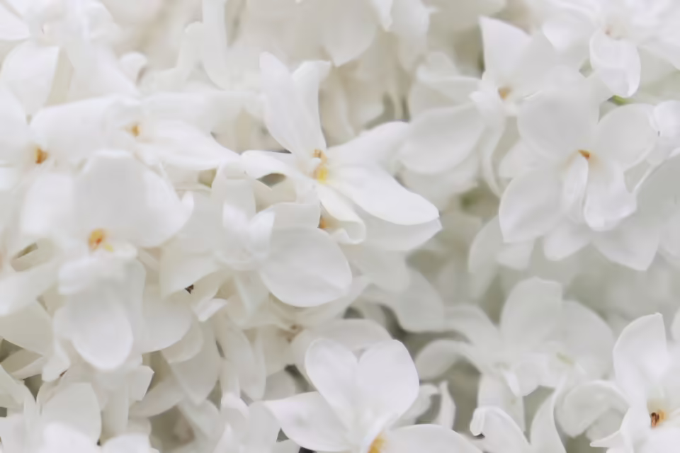 Sanierung der Blumen- und Gartenstraße in Kirchdorf: Kompromiss nötig!