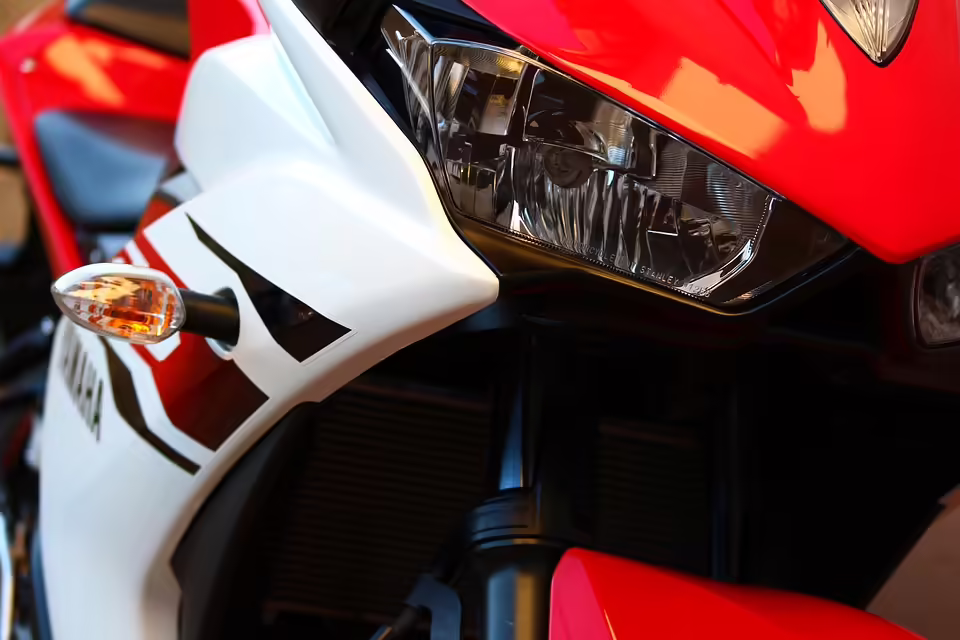 Schwerer Motorradunfall in St. Aegyd: Biker verletzt, Hirsch tot