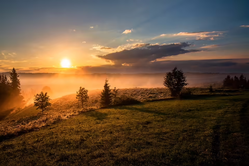 Sonnenaufgang über Mitterkirchen: Ein einzigartiger Blickfang aus Machland