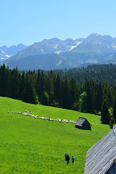 Sonniger Sonntag in der Steiermark: Temperaturen bis zu 9 Grad!