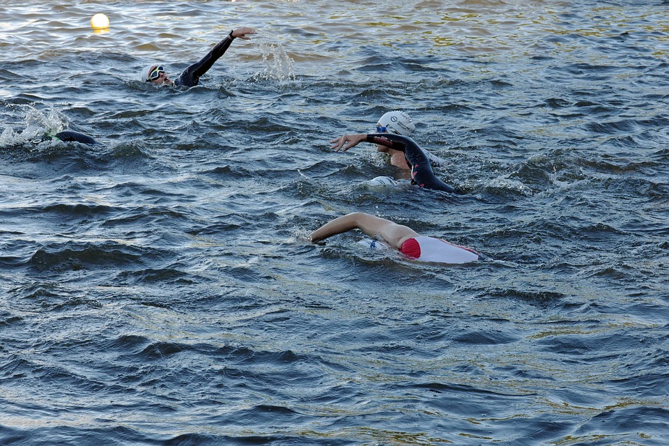Sportehrenzeichen 2023: Steyrer Athleten und Ehrenamtliche geehrt