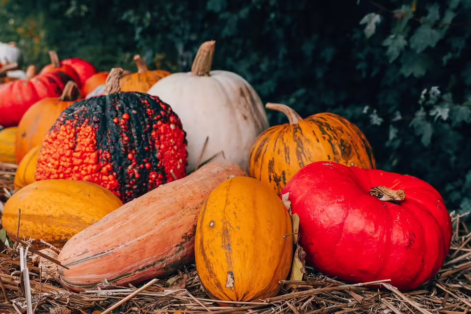 Spuktacularer Halloween: Siegendorf feiert mit gruseligen Gästen