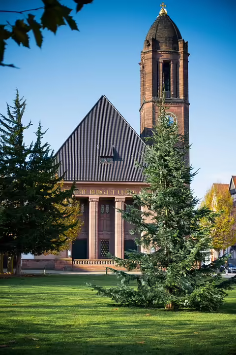 Stadträtin Prünster: Dringende Reform des Umweltbeirats gefordert
