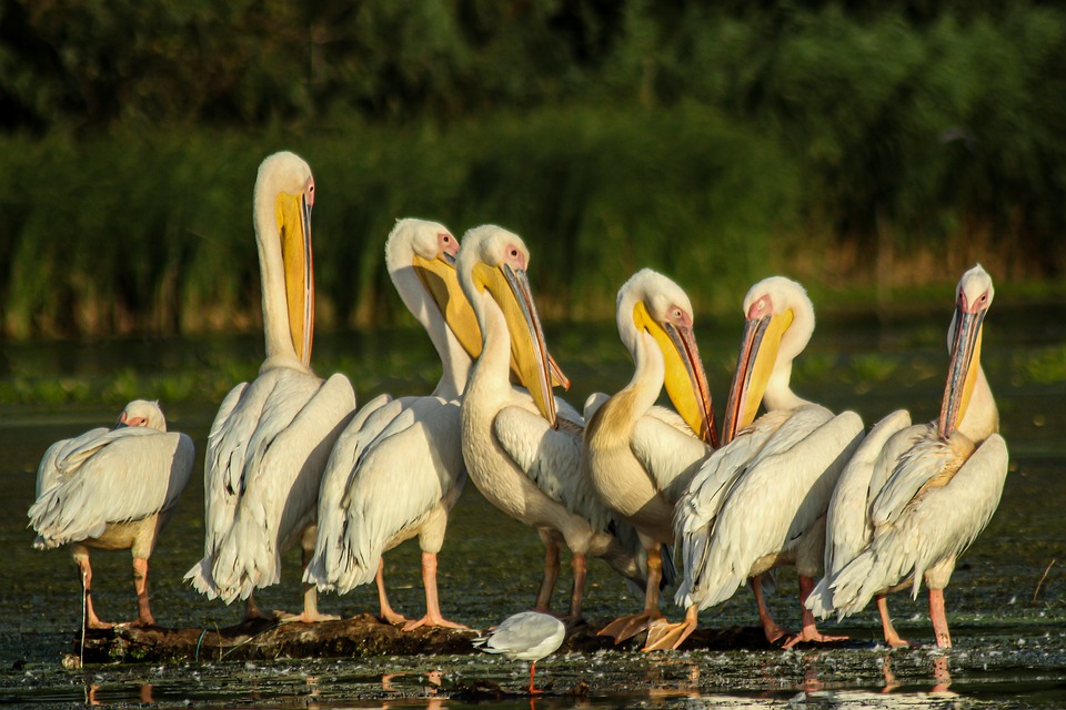 Stefan Stolitzka erhält den Erzherzog-Johann-Award in der Steiermark