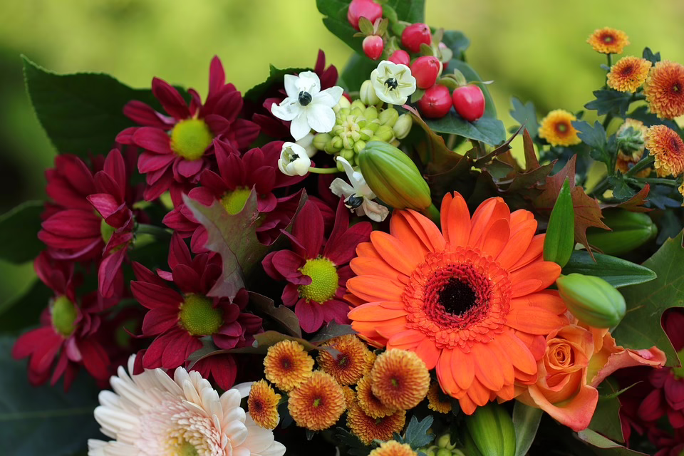 Streit um Blumenschmuck: Kremserin fordert rechtliche Klärung