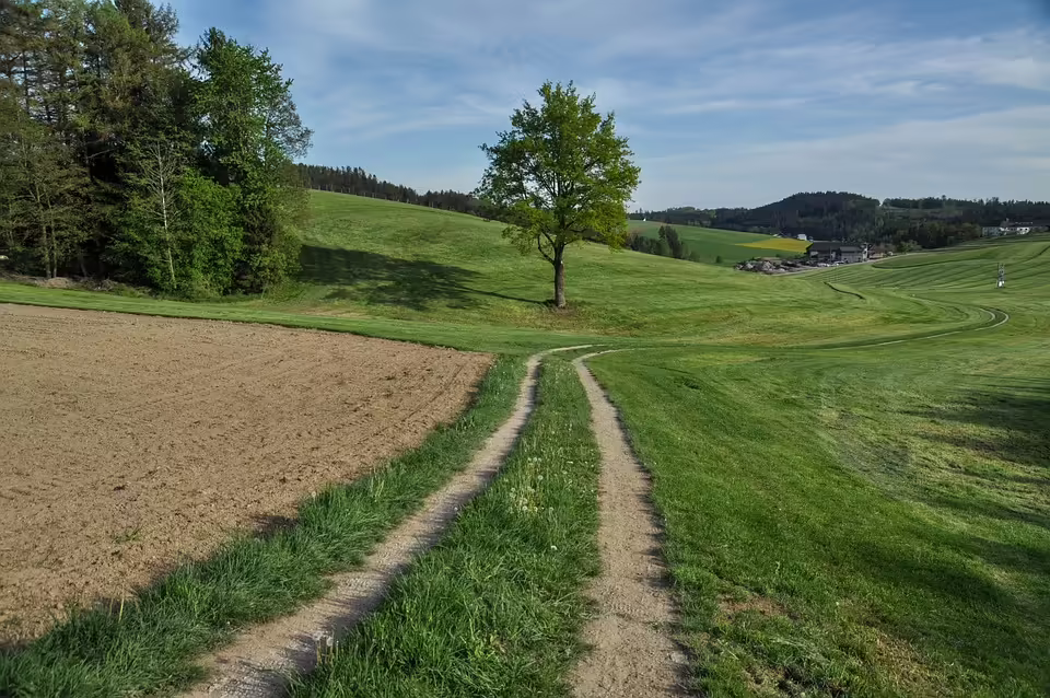 Tatverdächtiger nach Schießerei im Mühlviertel tot im Wald gefunden”