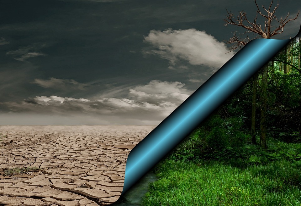 Thomas Zehetner über Klimawandel und Europas Rolle im globalen Spiel
