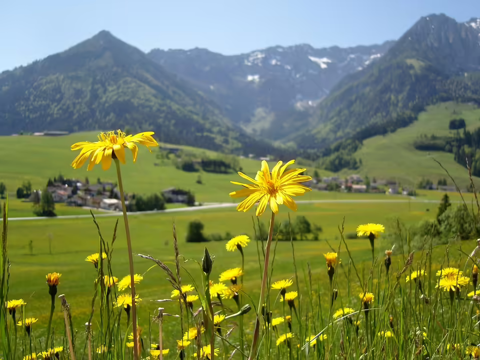 Tiroler Angestellte verhindern trickreiche Betrugsversuche