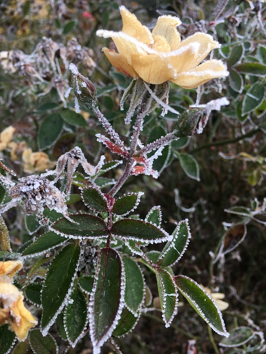 Top-News und Wetter für den Landkreis Rosenheim am 23. November 2024