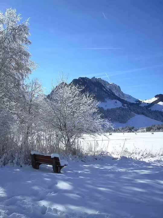 Tragischer Unfall in Schwarzsee: Zwei Frauen erliegen schweren Verletzungen