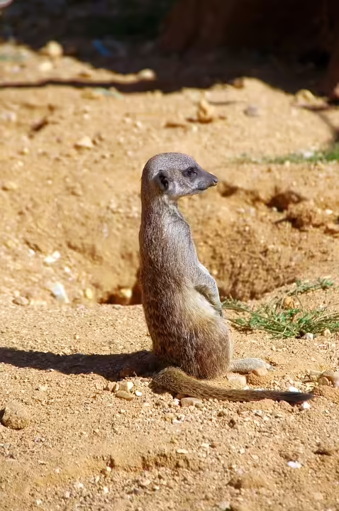 Tragödie am Kleinen Sonnenstein: Wanderer stürzt tödlich ab